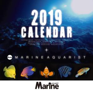 マリンアクアリスト 2019年 海水魚カレンダー